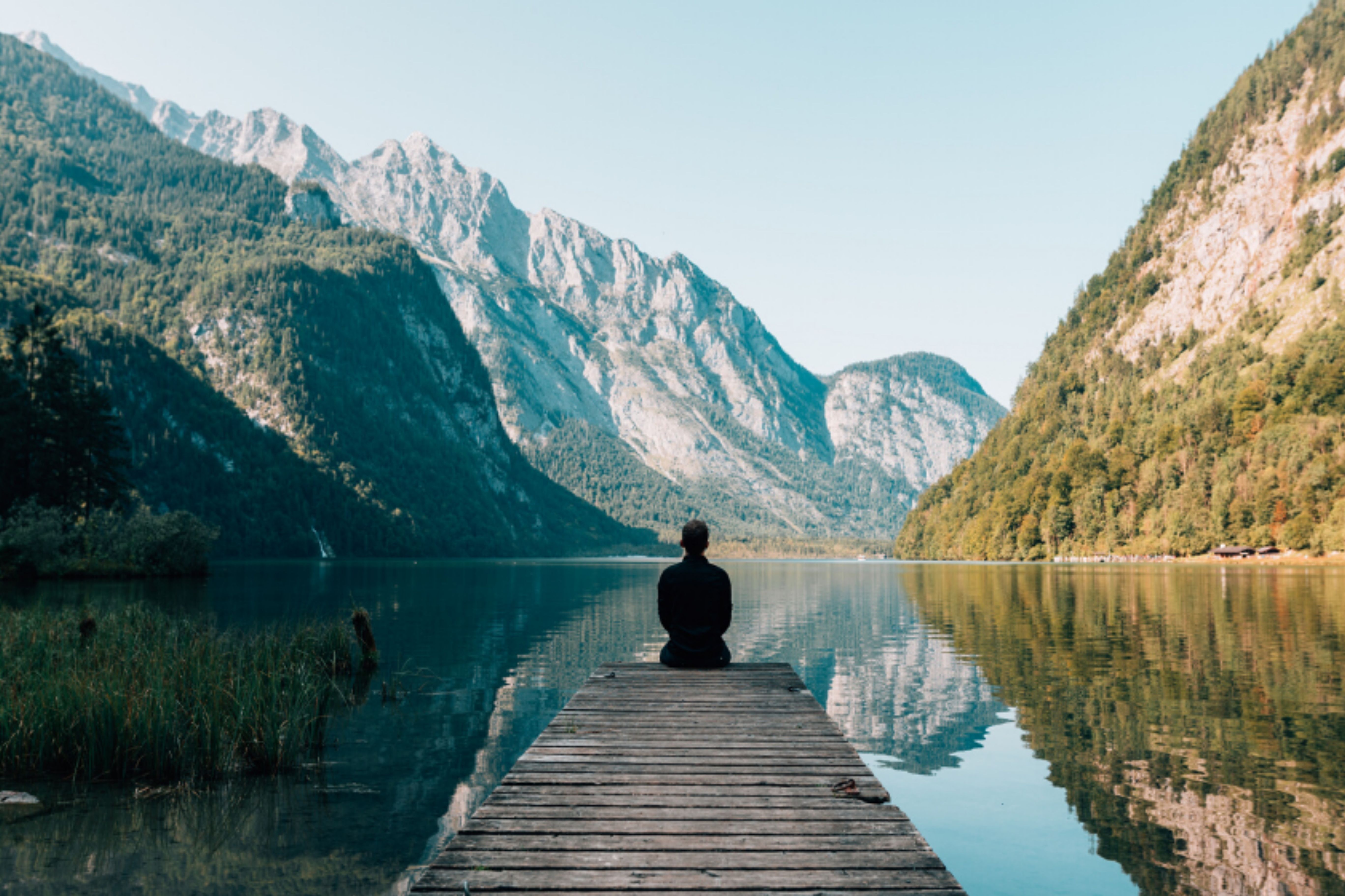 Melbourne Psychologists in Inner East & Telehealth Australia-wide