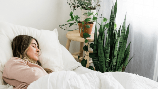girl sleeping in bed
