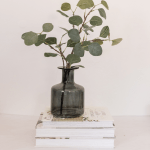 Psychological Testing Services