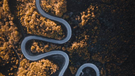 a long winding road to represent psychology of passion vs duty